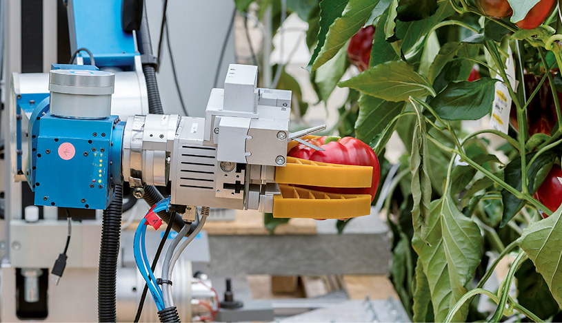 Ernteroboter, Lehrstuhl für Angewandte Mechanik der TU München im Rahmen des Europäischen Projekts CROPS (Clever Robots for Crops), © Uli Benz / TU München