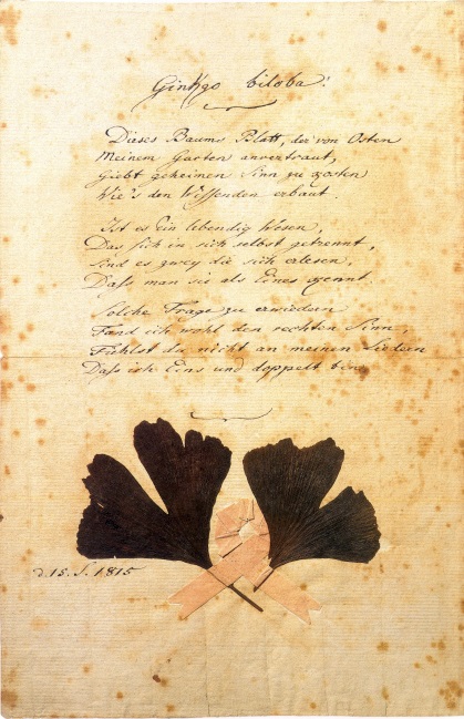 Johann Wolfgang von Goethe, Eigenhändige Reinschrift des Gedichts ‘Ginkgo biloba‘ aus dem ‘West-östlichen Divan‘ mit zwei von ihm eigenhändig aufgeklebten Ginkgo-Blättern, 1815, Goethe-Museum Düsseldorf