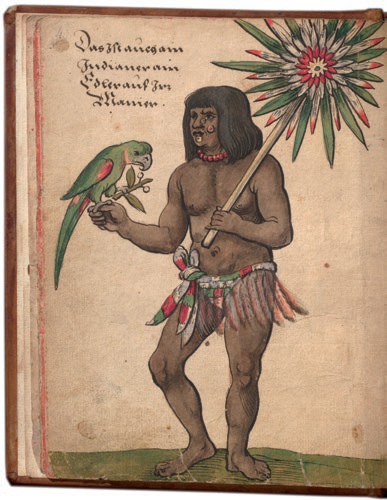 Indianer mit Papagei  aus: Trachtenbuch des Christoph Weiditz, 1530/40, Germanisches Nationalmuseum, Nürnberg