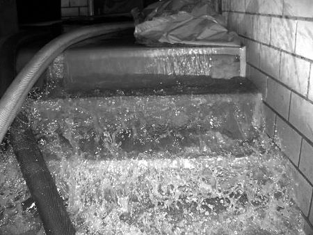 Wassereinbruch in den Kellern, Depots und Archivräumen des Deutschen Hygiene-Museums, © Foto: Stiftung Deutsches-Hygiene-Museum Dresden